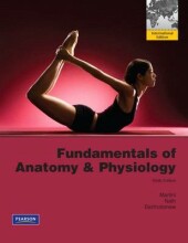 Summary Fundamentals of anatomy & physiology Book cover image