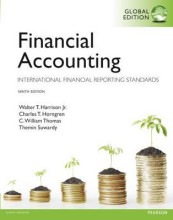 Summary Financial Accounting: International Financial Reporting Standards Book cover image