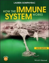 Summary: How The Immune System Works Sixth Edition | 9781119542124 | Lauren Sompayrac Book cover image
