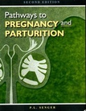 Summary Pathways to pregnancy and parturition Book cover image