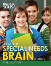 Summary How the special needs brain works Book cover image