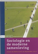 Samenvatting Sociologie en de moderne samenleving Afbeelding van boekomslag