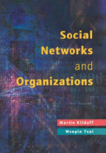 Summary Social networks and organizations Book cover image