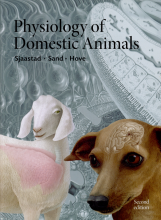 Samenvatting Physiology of Domestic Animals Afbeelding van boekomslag