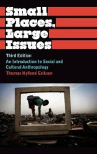 Samenvatting: Small Places, Large Issues : An Introduction To Social And Cultural Anthropology | 9780745330495 | Thomas Hylland Eriksen Afbeelding van boekomslag