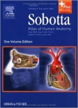 Samenvatting Sobotta atlas of human anatomy : head, neck, upper limb, thorax, abdomen, pelvis, lower limb. Afbeelding van boekomslag