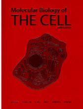 Summary Molecular biology of the cell Book cover image