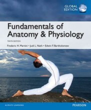 Samenvatting Fundamentals of Anatomy and Physiology, Global Edition Afbeelding van boekomslag