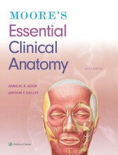 Summary Moore's Essential Clinical Anatomy Book cover image