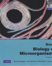 Samenvatting Brock biology of microorganisms Afbeelding van boekomslag