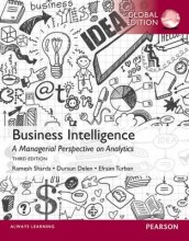Summary Business Intelligence, International Edition A Managerial Perspective on Analytics Book cover image
