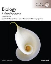 Summary Biology: A Global Approach, Global Edition Book cover image
