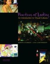 Summary Practices of Looking Book cover image