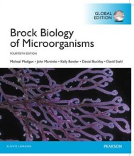 Summary Brock Biology of Microorganisms Global edition Book cover image