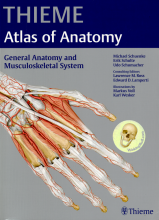 Summary General Anatomy and Musculoskeletal System Book cover image