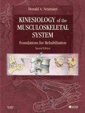 Summary Kinesiology of the Musculoskeletal System Foundations for Rehabilitation Book cover image