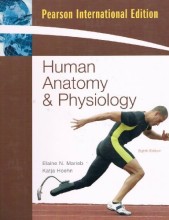 Samenvatting Human anatomy & physiology Afbeelding van boekomslag