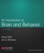 Samenvatting: Introduction To Brain And Behavior | 9781464118999 | Bryan Kolb Afbeelding van boekomslag