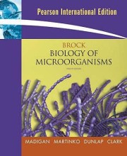 Summary Brock biology of microorganisms. Book cover image