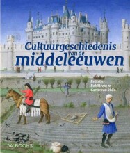 Samenvatting: Cultuurgeschiedenis Van De Middeleeuwen / Druk 1 | 9789462580473 | Rob Meens Afbeelding van boekomslag