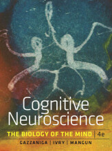 Summary Cognitive Neuroscience: The Biology of the Mind (Fourth Edition) Book cover image